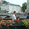 Kwitną kwiaty, ja garbaty